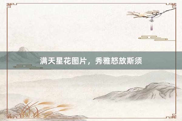 满天星花图片，秀雅怒放斯须
